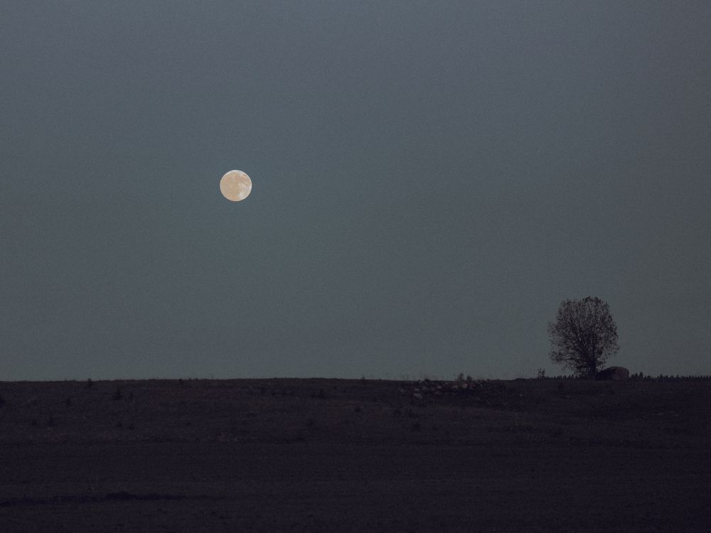 Photograph by Ирина Баландина