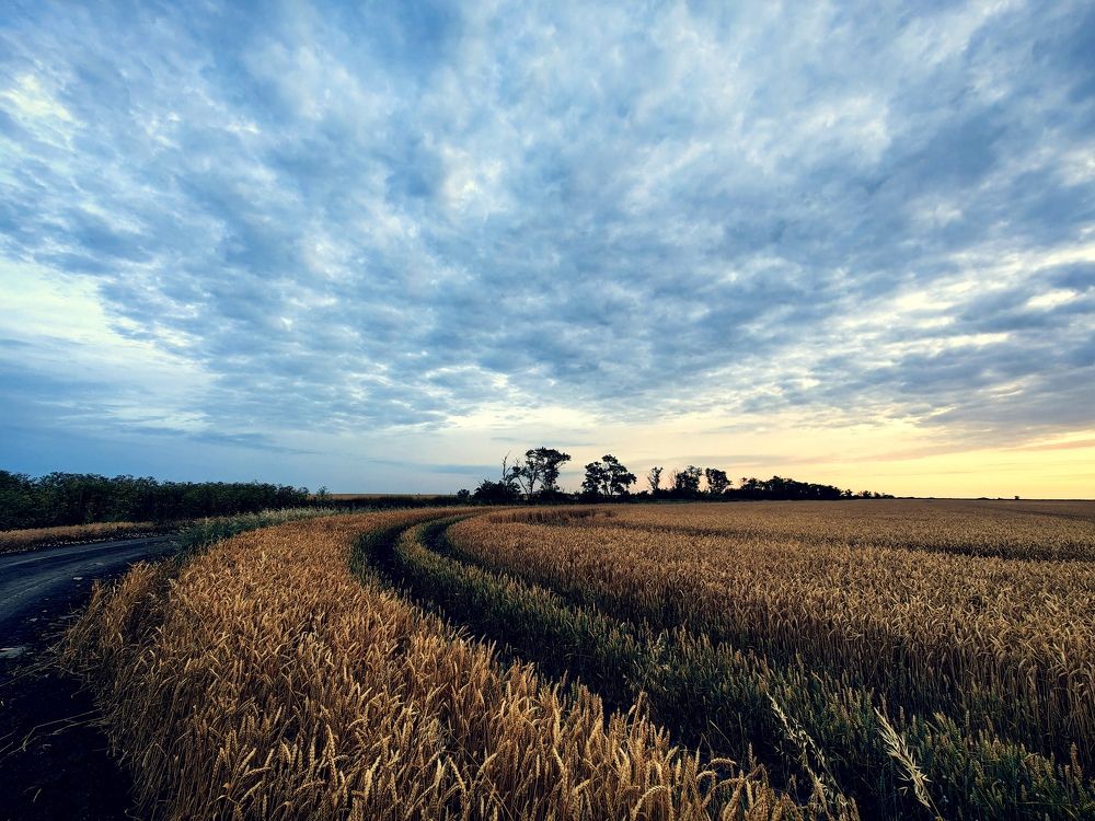 Photograph by Дмитрий Чебанов