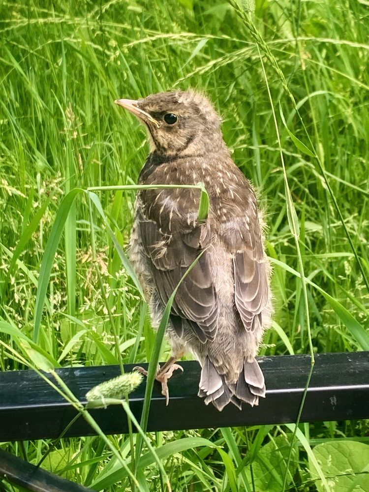 Photograph by Титаренко Людмила