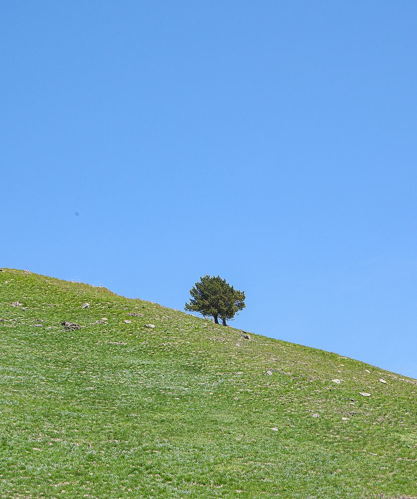 Фотография автора Александер Метт