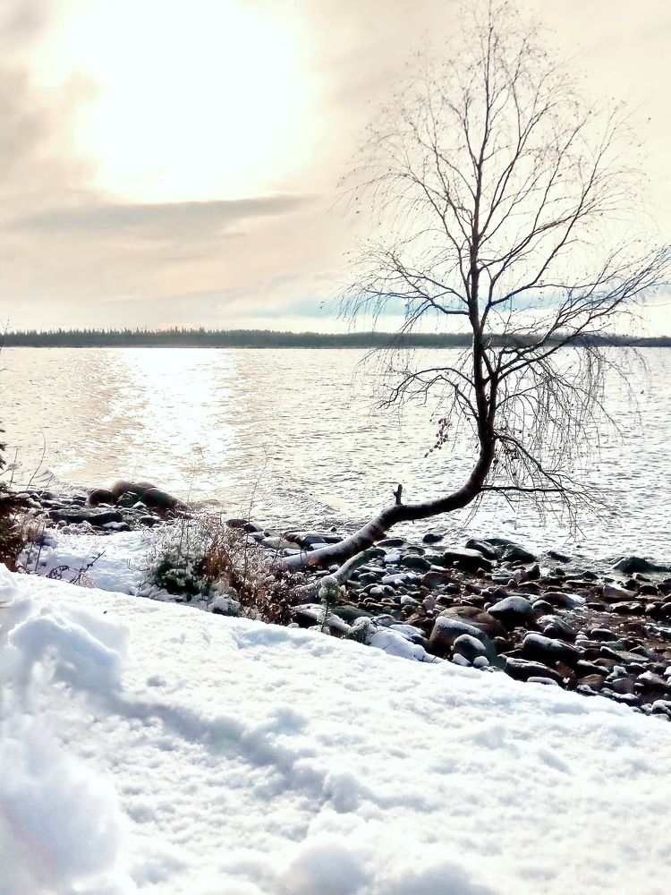 "Первый снег",