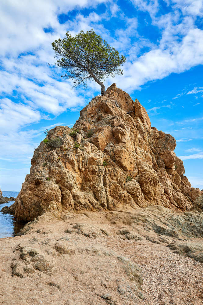 Photograph by Алексей Ткаченко