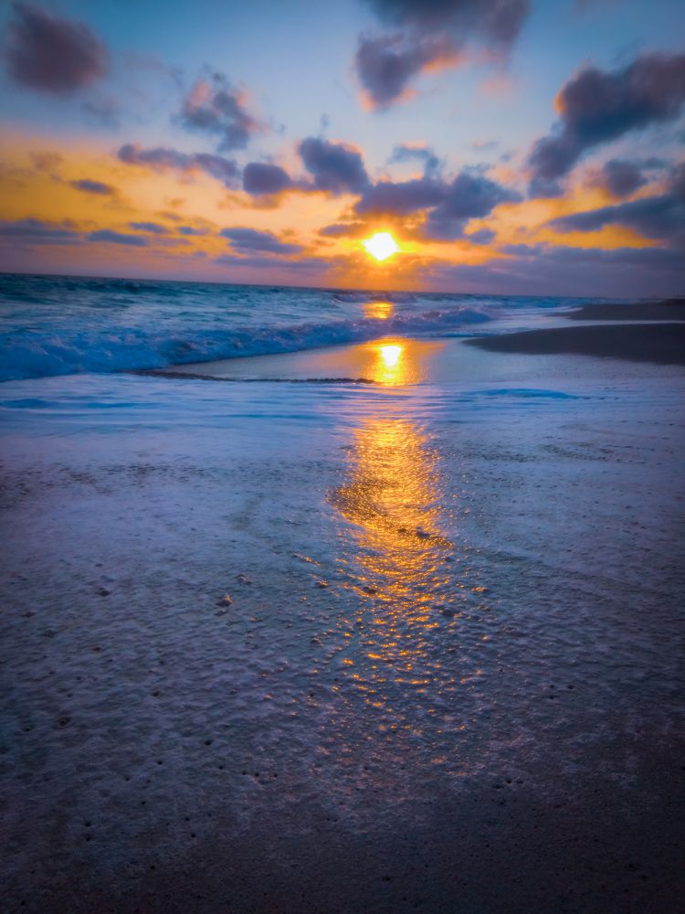 Photograph by Rami Adel