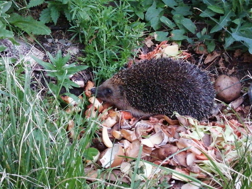 Фотография автора Татьяна Савранчук