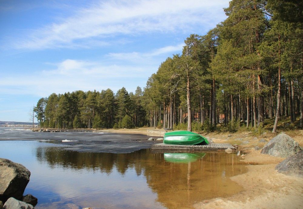 Фотография автора Светлана Терехова