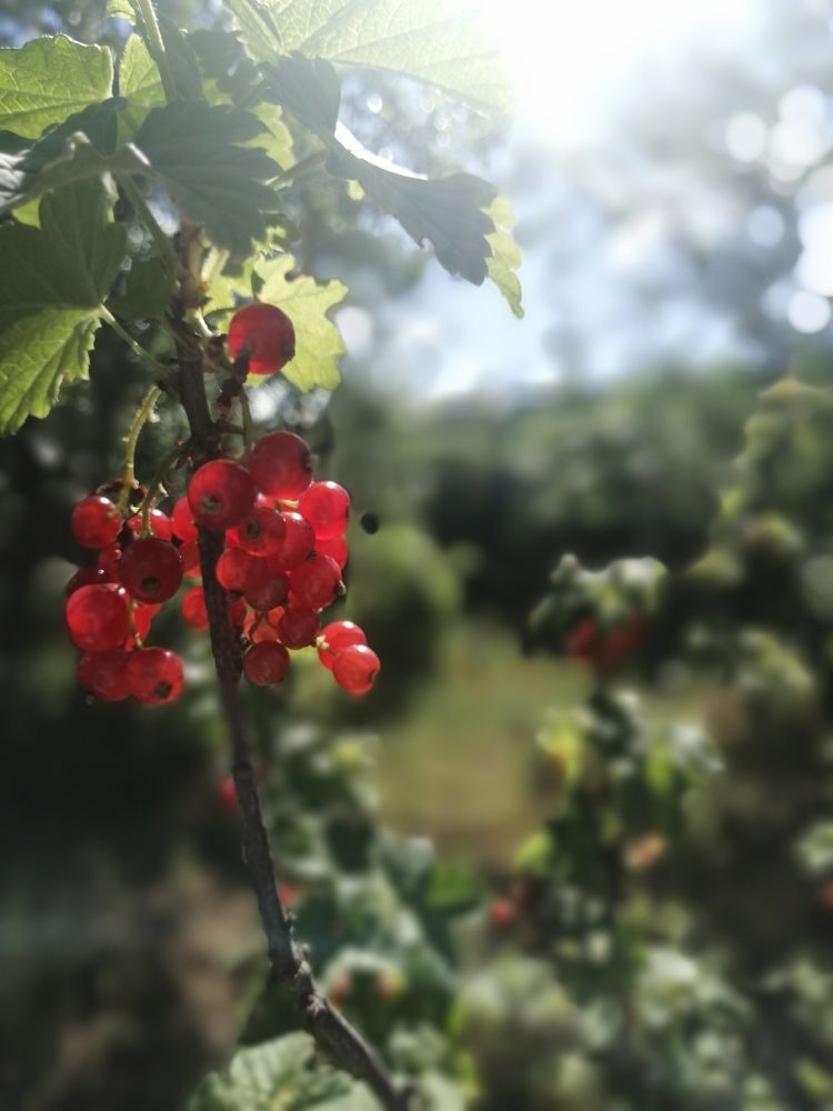 Фотография автора Татьяна Савранчук