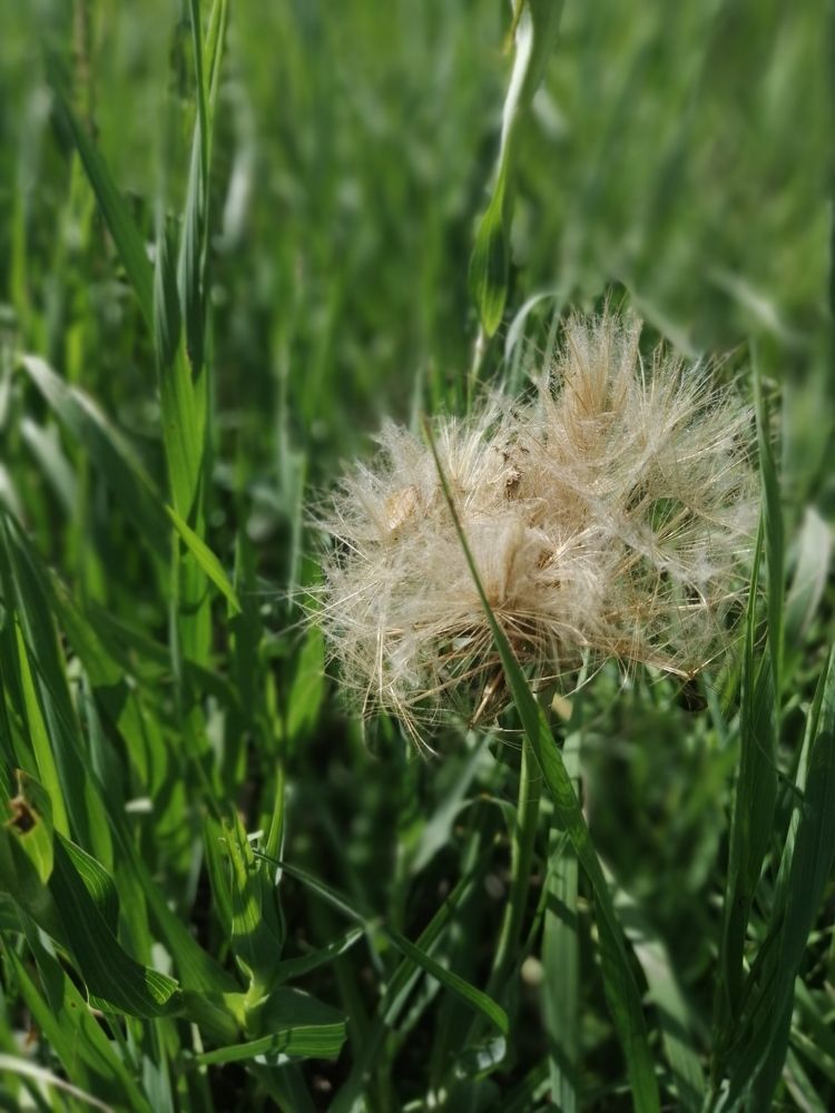 Фотография автора Татьяна Савранчук