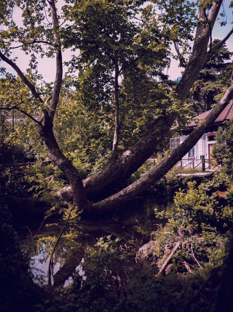 Photograph by Ирина Баландина