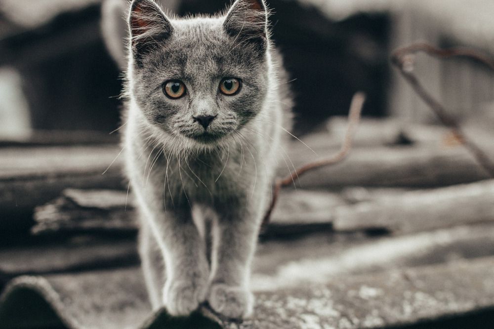 Photograph by Natalya Zhukova