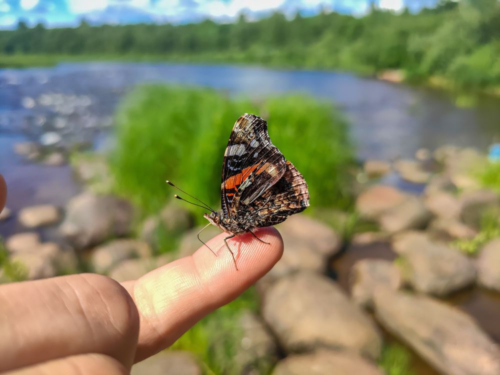 Photograph by Дмитрий Малышев