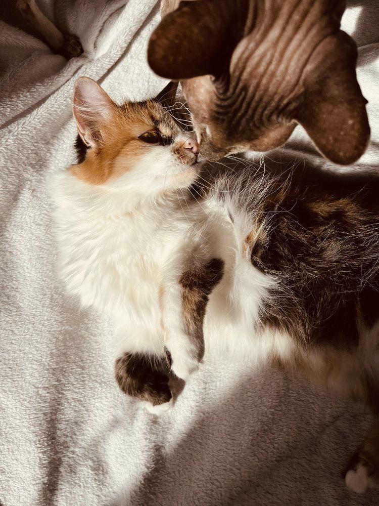 Photograph by Ekaterina