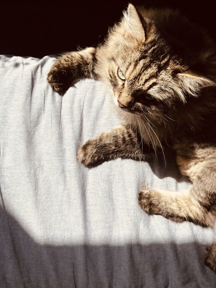 Photograph by Ekaterina