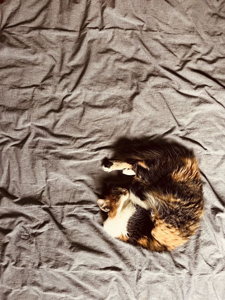 Photograph by Ekaterina