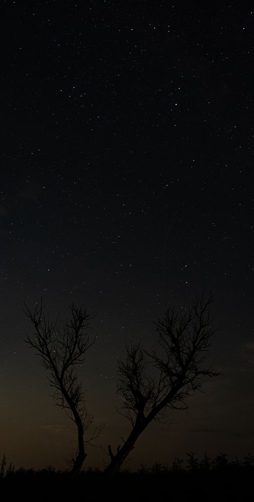 Photograph by Екатерина Потолокова