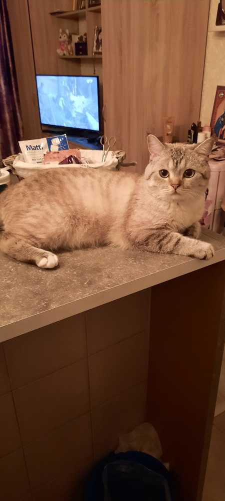 Фотография автора Татьяна Савранчук