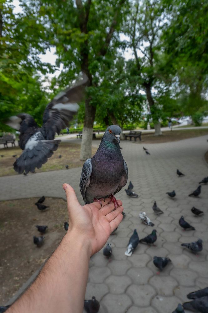 Photograph by Владимир Кабалоев
