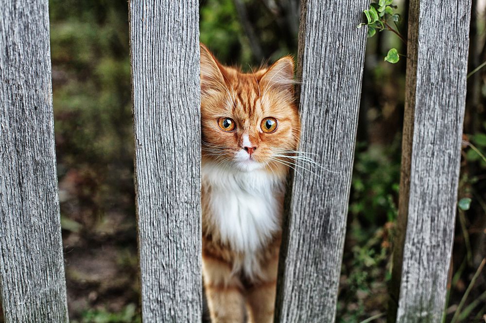 Photograph by Алексей Ткаченко