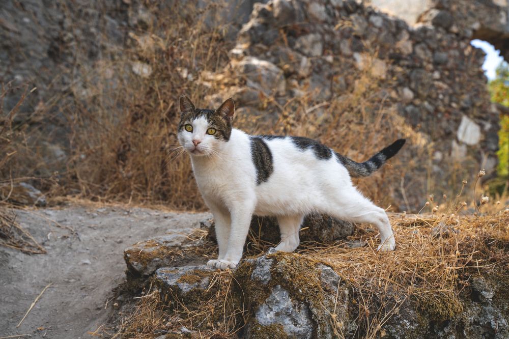Photograph by Алексей Ткаченко