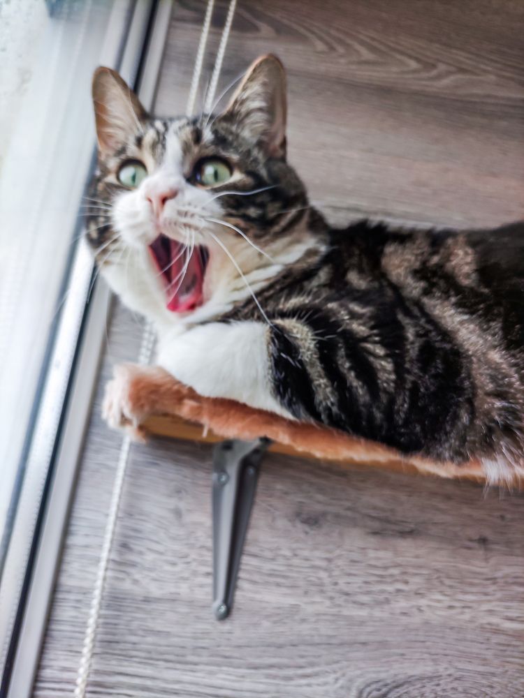 Photograph by Дмитрий Малышев