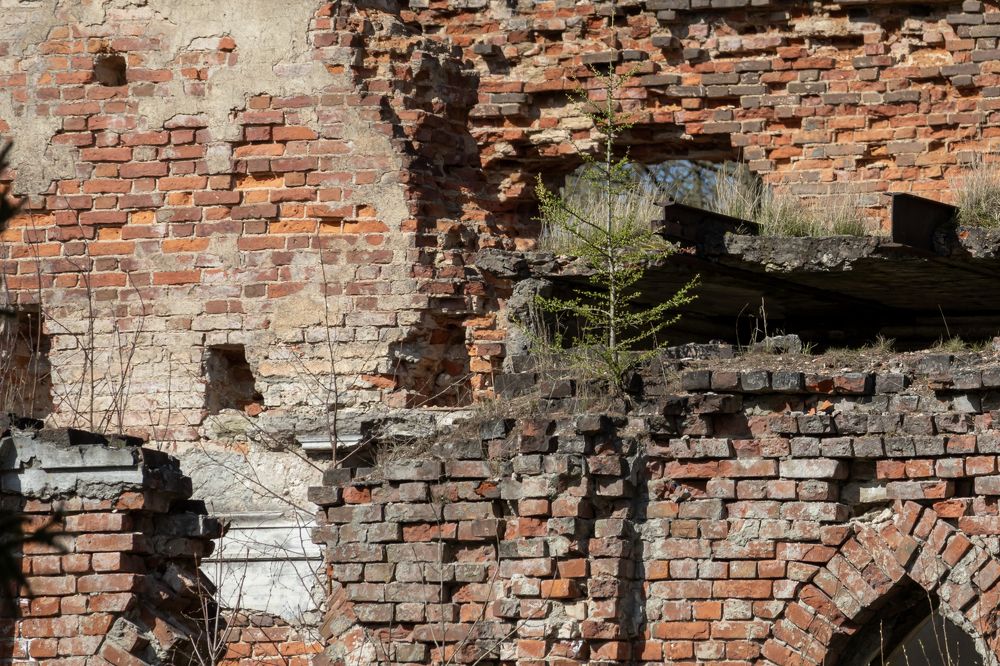 Photograph by Юлия Куликова