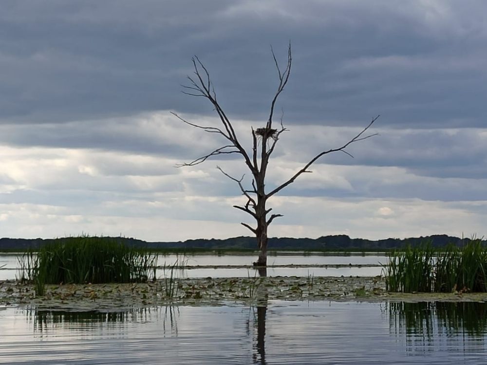 Photograph by Татьяна Кунц