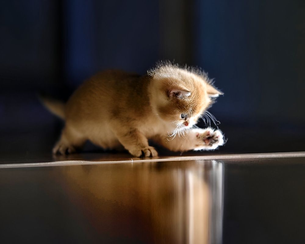 Photograph by Романов Вячеслав