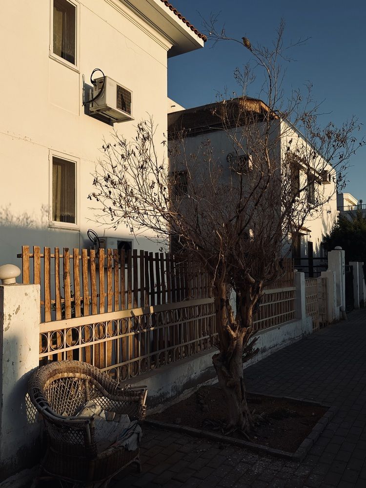 Photograph by Мария Берёзка