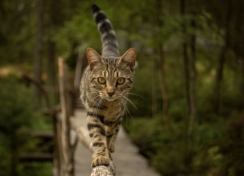 Photograph by Юлия Куликова