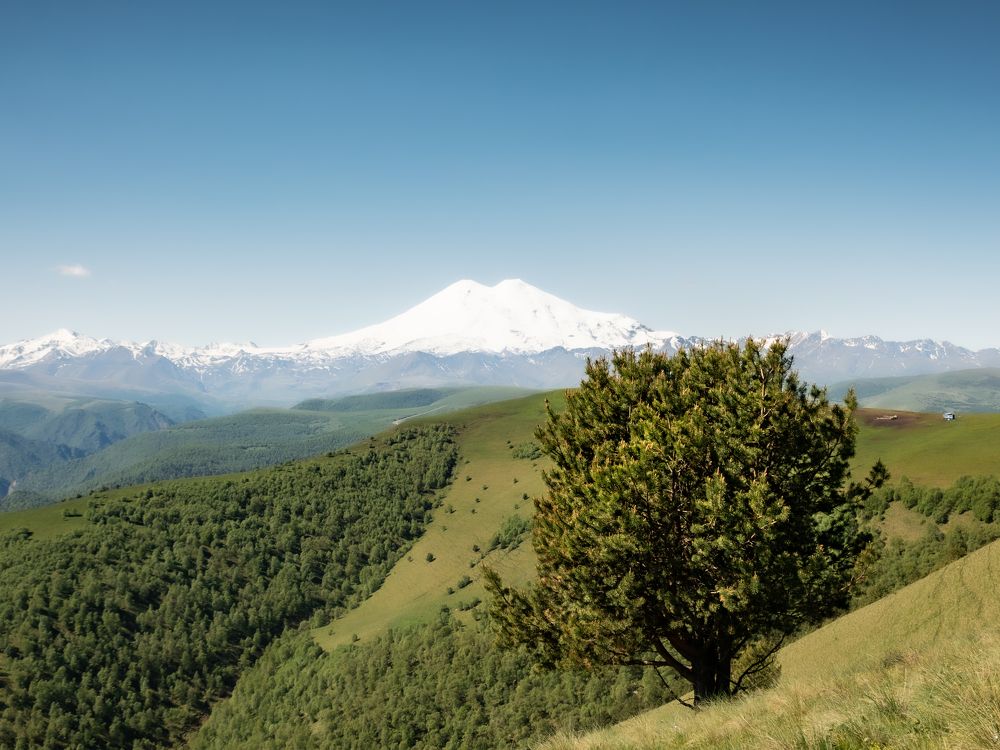 Photograph by Ольга Волкова