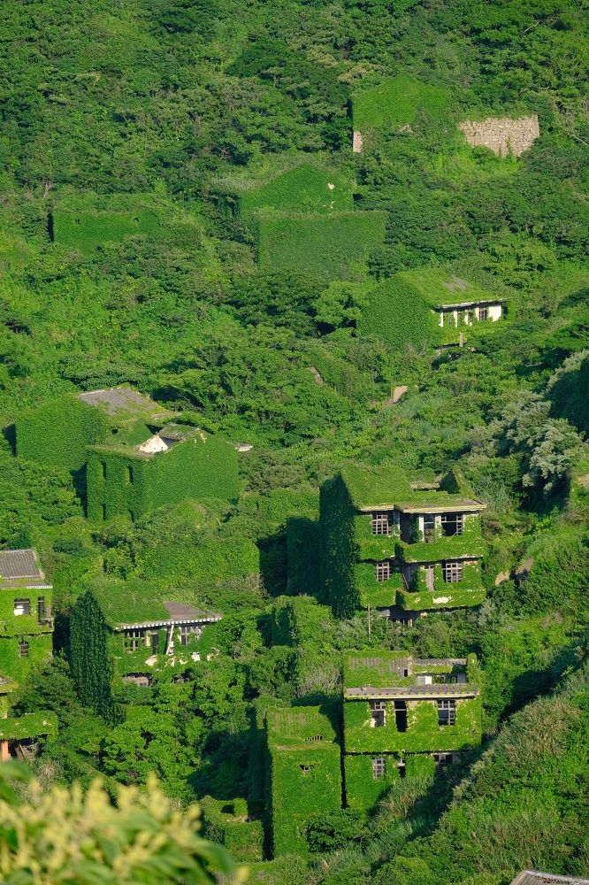 Фотография автора Александр Высоцкий