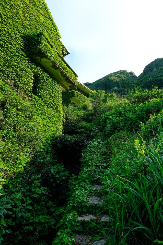 Фотография автора Александр Высоцкий