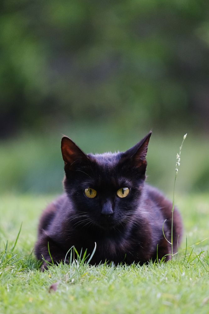 Фотография автора Александр Высоцкий