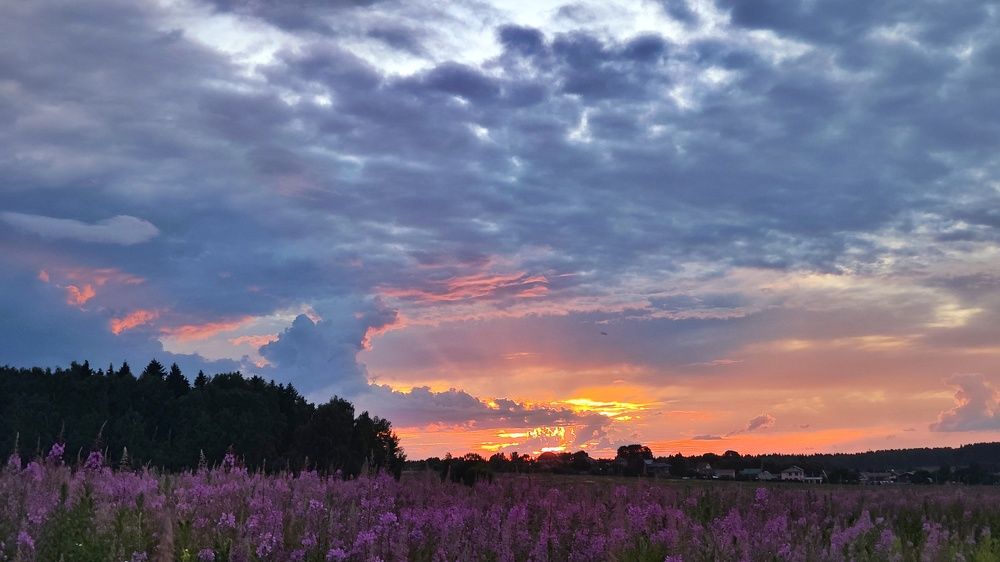 Photograph by Анна Корнейко