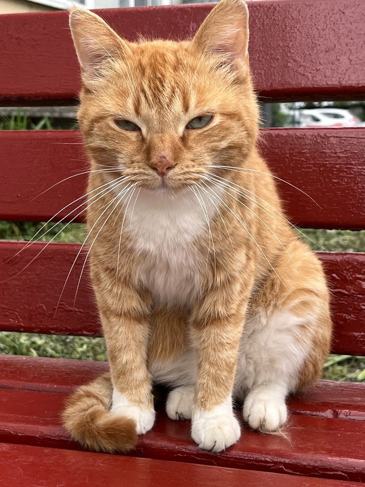 Photograph by Болдырева Ольга