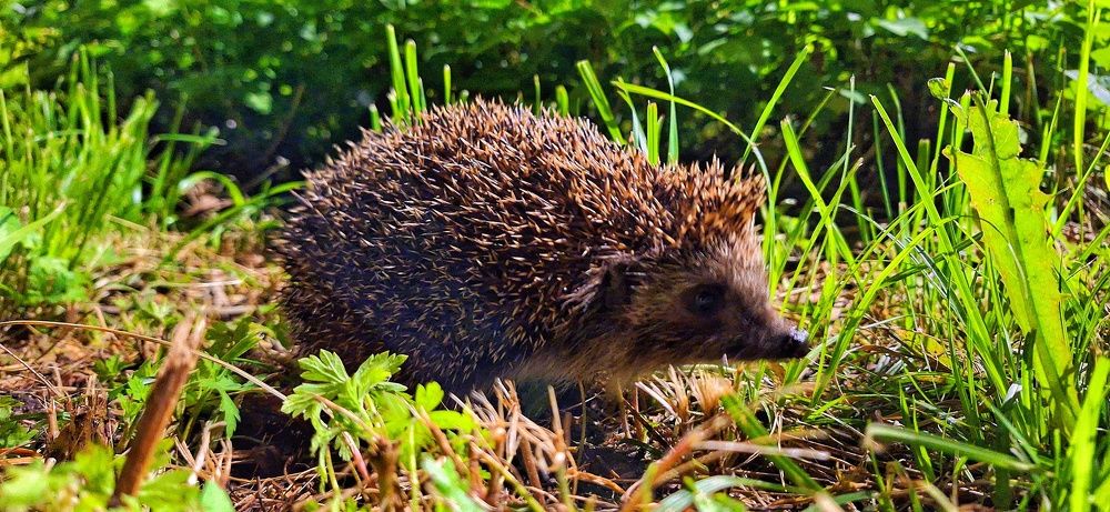 Photograph by Андрей