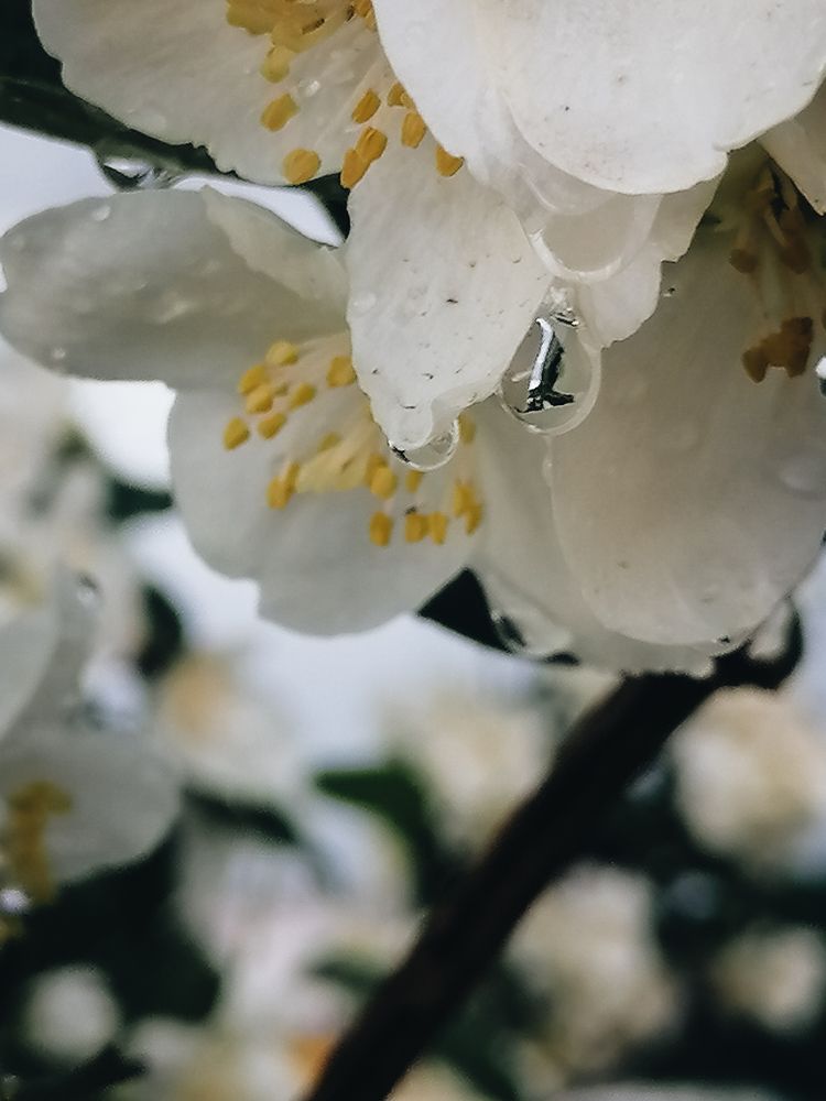 Photograph by Алеся Садченко