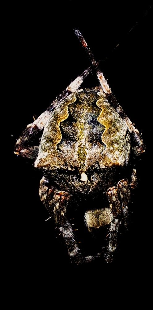 Photograph by Андрей