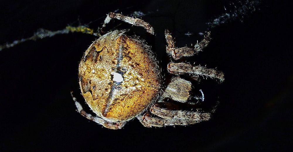 Photograph by Андрей