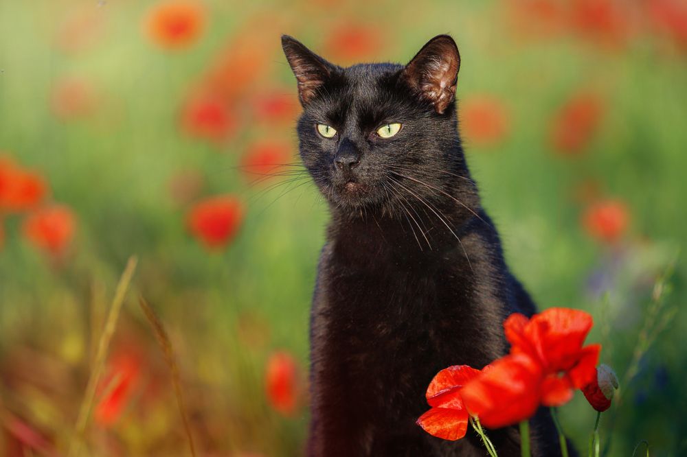 Photograph by Яна Нарбутович