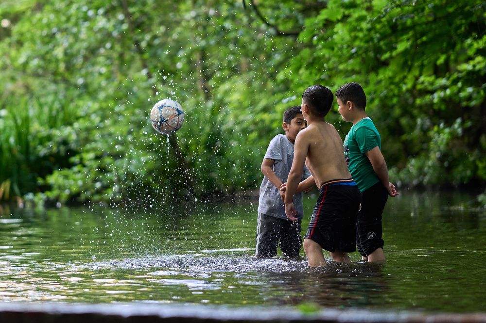 Фотография автора OVIDIU-IOAN TICU