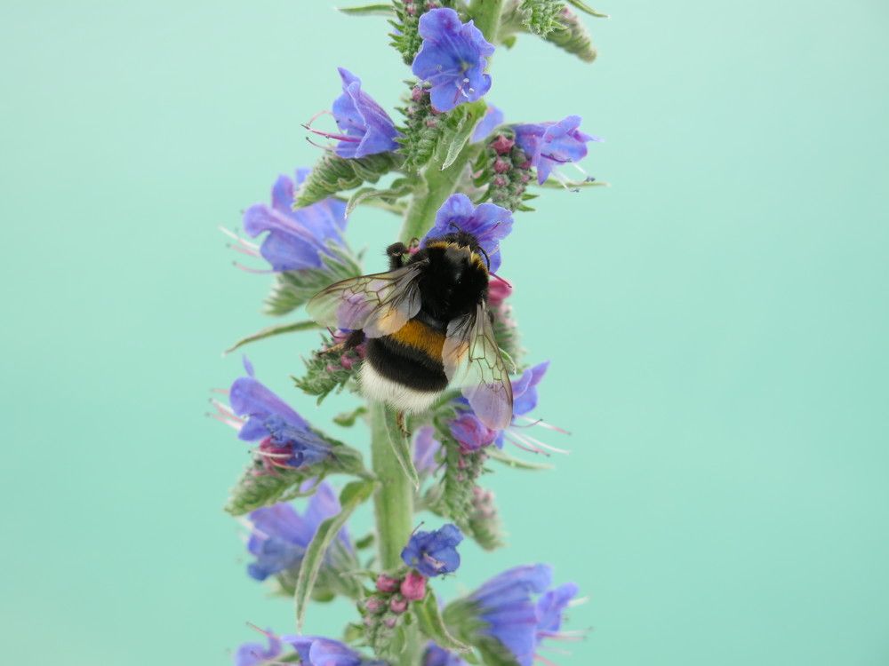 Photograph by ЭЛЬМИРА  ИСМАИЛОВА