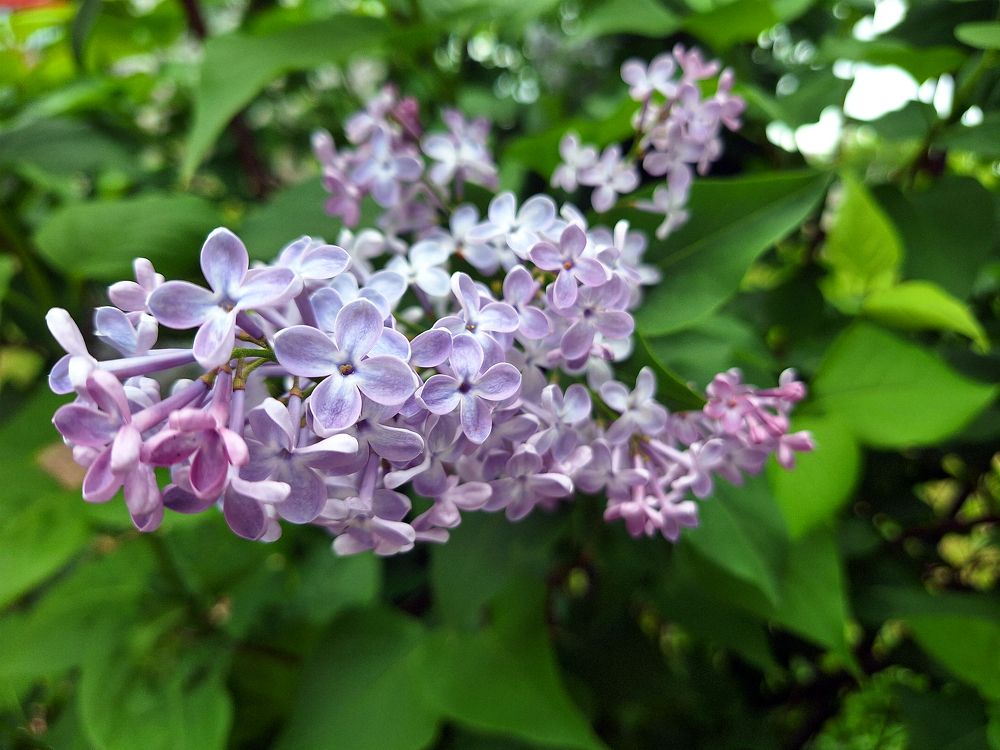 Photograph by София Лаврентьева