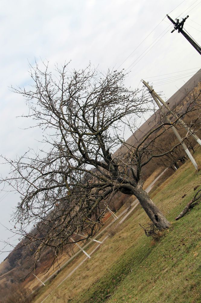 Photograph by София Лаврентьева