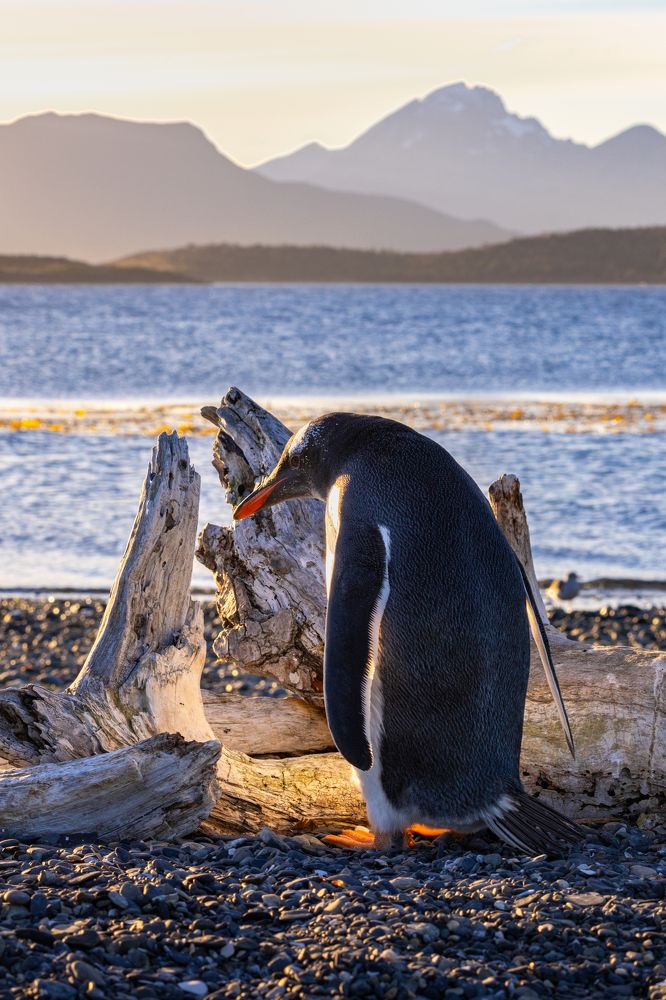 Photograph by Сергей Гук