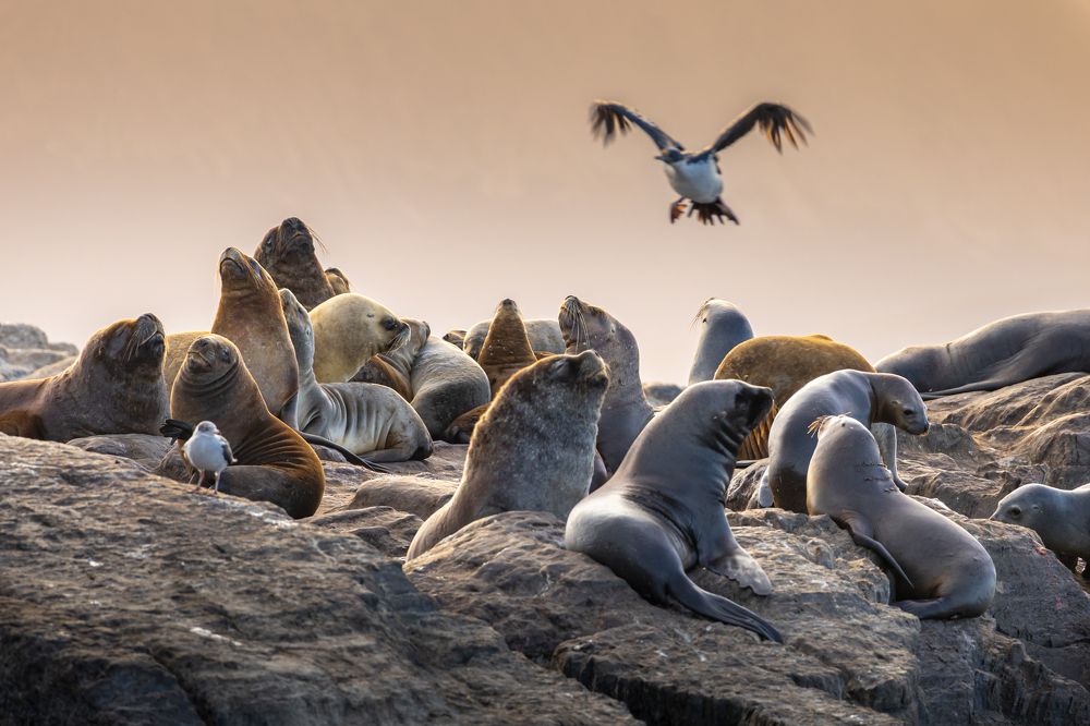 Photograph by Сергей Гук