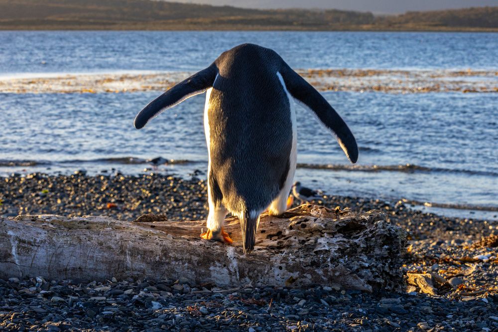 Photograph by Сергей Гук