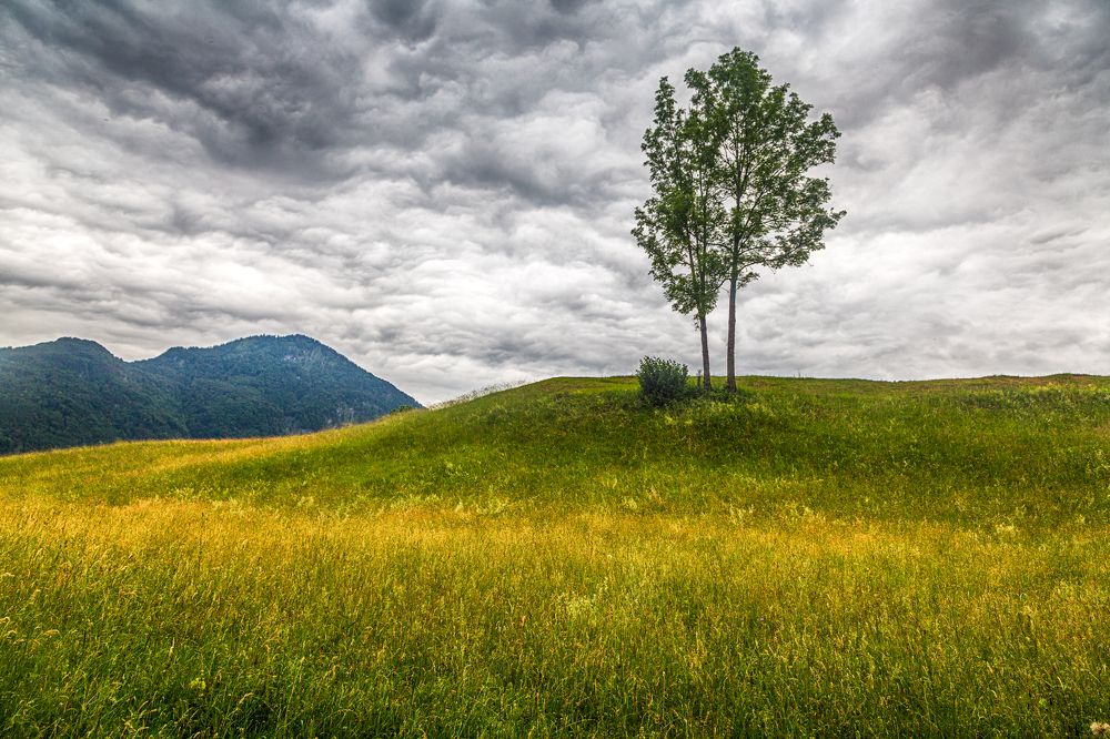 Photograph by Ирина Шумахер