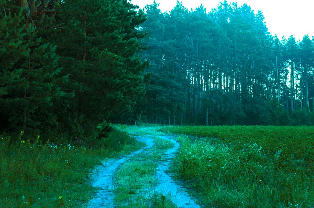 Фотография автора Анастасия Роговцова