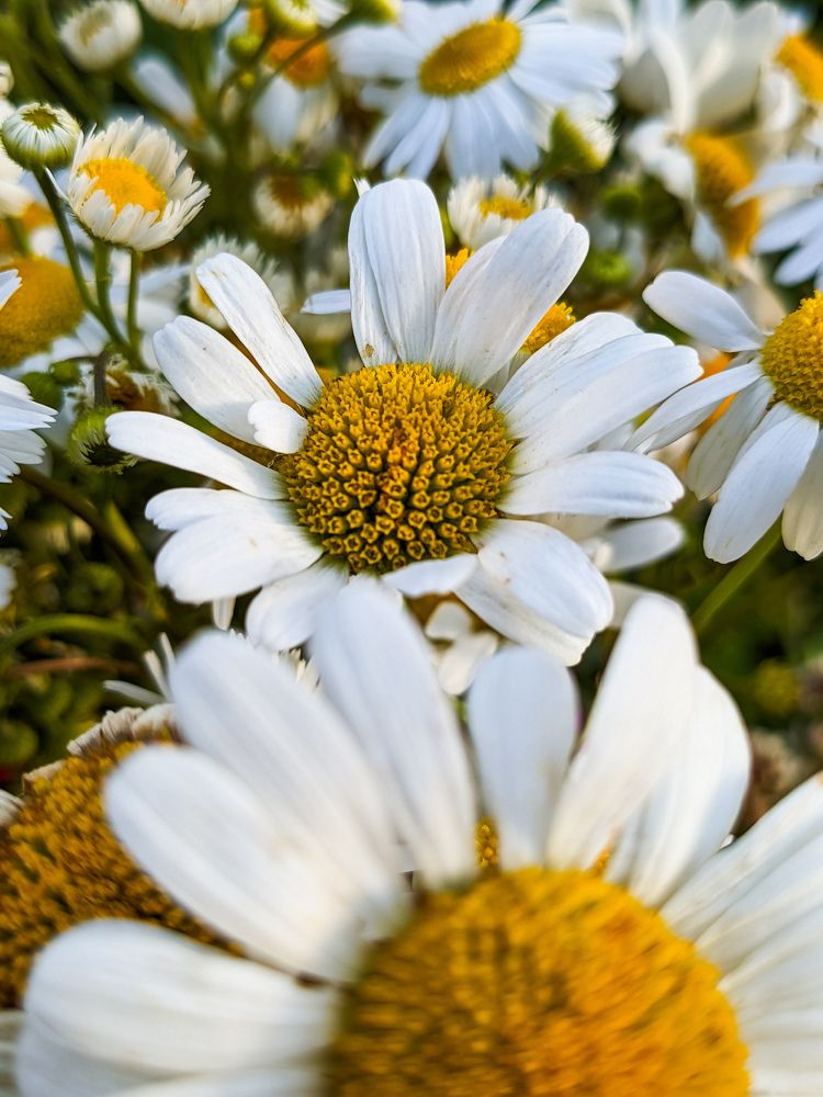 Photograph by Olya Smirnova