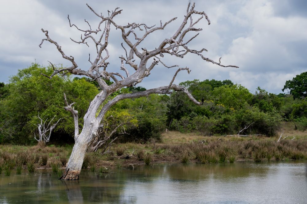 Photograph by Fadi Haroun